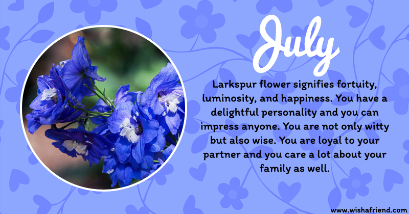 July Birth Flower Larkspur