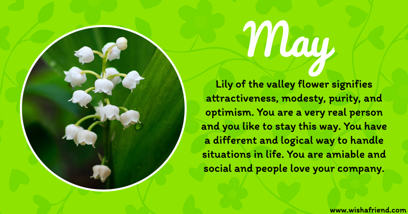 May Birth Flower : Lily of the Valley