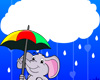 Elephant in the Rain