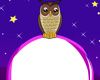 Night Owl